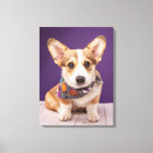 Kutest Baby Animals | Halloween Corgi Canvas Afdruk (Voorkant)
