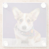 Kutest Baby Animals | Halloween Corgi Glazen Onderzetter (Achterkant)