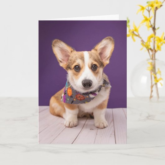 Kutest Baby Animals | Halloween Corgi Kaart (Gele Bloem)