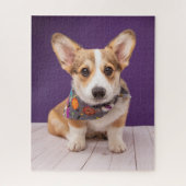 Kutest Baby Animals | Halloween Corgi Legpuzzel (Verticaal)