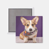 Kutest Baby Animals | Halloween Corgi Magneet (Voorkant / Achterkant)