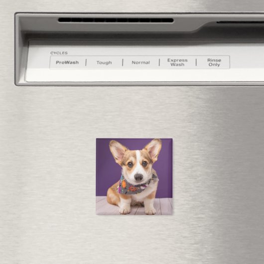 Kutest Baby Animals | Halloween Corgi Magneet (Insitu (Vaatwasser))