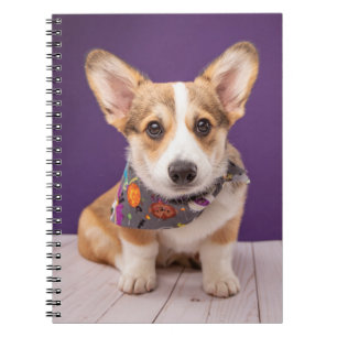Kutest Baby Animals   Halloween Corgi Notitieboek