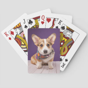 Kutest Baby Animals   Halloween Corgi Pokerkaarten