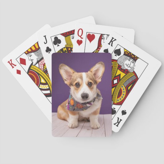 Kutest Baby Animals | Halloween Corgi Pokerkaarten (Achterkant)