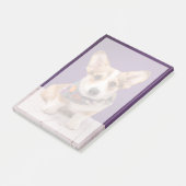 Kutest Baby Animals | Halloween Corgi Post-it® Notes (Schuin)