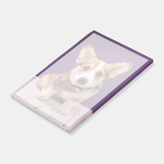Kutest Baby Animals | Halloween Corgi Post-it® Notes (Schuin)