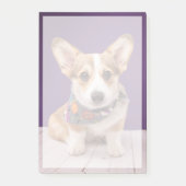 Kutest Baby Animals | Halloween Corgi Post-it® Notes (Voorkant)