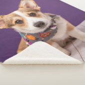 Kutest Baby Animals | Halloween Corgi Sherpa Deken (3/4)