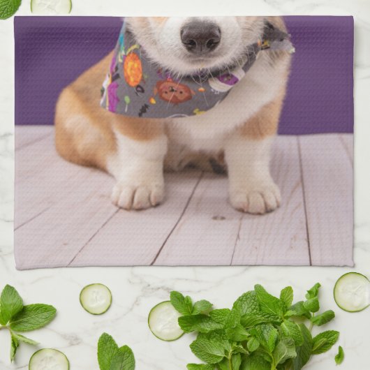 Kutest Baby Animals | Halloween Corgi Theedoek (Gevouwen)