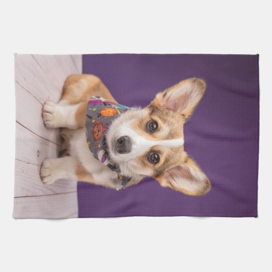 Kutest Baby Animals | Halloween Corgi Theedoek (Horizontaal)