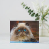 Kutest Baby Animals | Himalayan Cat Briefkaart (Staand voorkant)