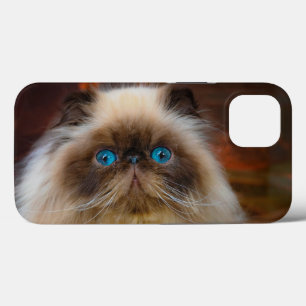 Kutest Baby Animals   Himalayan Cat Case-Mate iPhone Case