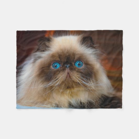 Kutest Baby Animals | Himalayan Cat Fleece Deken (Voorkant (Horizontaal))