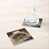 Kutest Baby Animals | Himalayan Cat Kartonnen Onderzetters (Insitu)