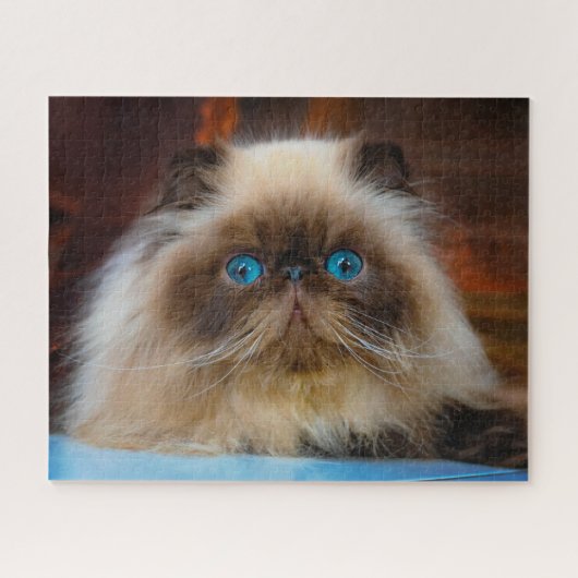 Kutest Baby Animals | Himalayan Cat Legpuzzel (Horizontaal)