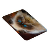Kutest Baby Animals | Himalayan Cat Magneet (Rechterzijde)