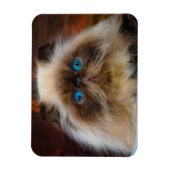 Kutest Baby Animals | Himalayan Cat Magneet (Verticaal)