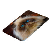 Kutest Baby Animals | Himalayan Cat Magneet (Linkerzijde)