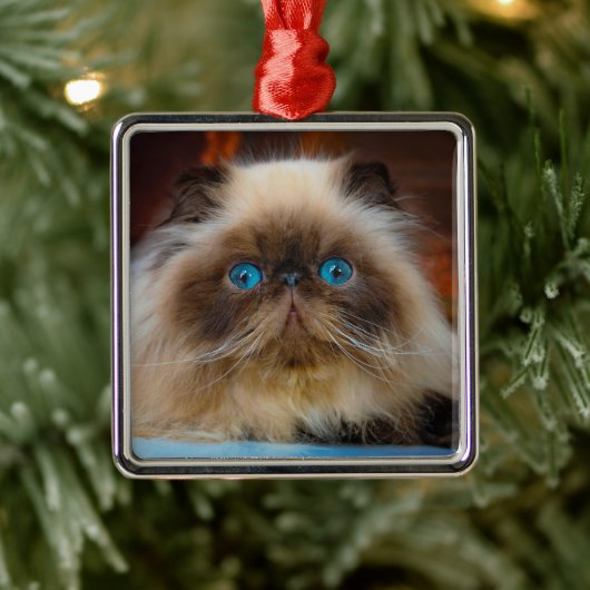 Kutest Baby Animals | Himalayan Cat Metalen Ornament (Boom)