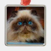 Kutest Baby Animals | Himalayan Cat Metalen Ornament (Voorkant)