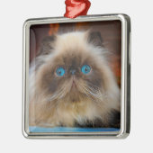 Kutest Baby Animals | Himalayan Cat Metalen Ornament (Links)