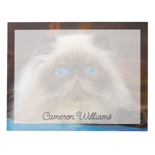 Kutest Baby Animals | Himalayan Cat Notitieblok (Voorkant)