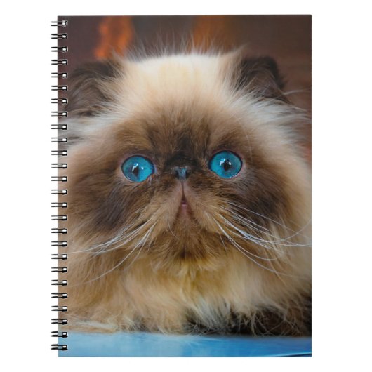 Kutest Baby Animals | Himalayan Cat Notitieboek (Voorkant)