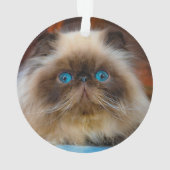 Kutest Baby Animals | Himalayan Cat Ornament (achterkant)