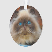 Kutest Baby Animals | Himalayan Cat Ornament (voorkant)