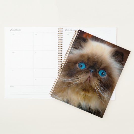 Kutest Baby Animals | Himalayan Cat Planner (Display)