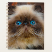 Kutest Baby Animals | Himalayan Cat Planner (Voorkant)