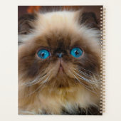 Kutest Baby Animals | Himalayan Cat Planner (Achterkant)