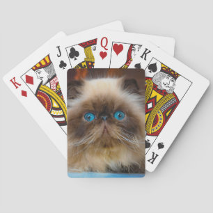 Kutest Baby Animals   Himalayan Cat Pokerkaarten