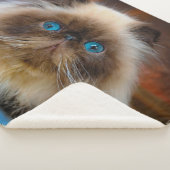 Kutest Baby Animals | Himalayan Cat Sherpa Deken (3/4)