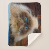 Kutest Baby Animals | Himalayan Cat Sherpa Deken (Voorkant)