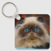 Kutest Baby Animals | Himalayan Cat Sleutelhanger (Voorkant)