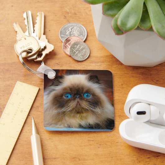 Kutest Baby Animals | Himalayan Cat Sleutelhanger (Bureau)