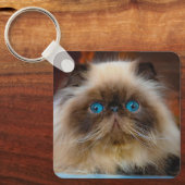 Kutest Baby Animals | Himalayan Cat Sleutelhanger (Voorkant)