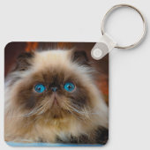 Kutest Baby Animals | Himalayan Cat Sleutelhanger (Achterkant)