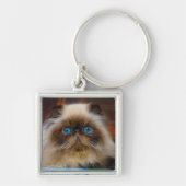 Kutest Baby Animals | Himalayan Cat Sleutelhanger (Voorkant)