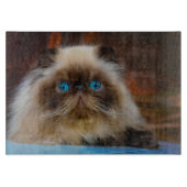 Kutest Baby Animals | Himalayan Cat Snijplank (Voorkant)