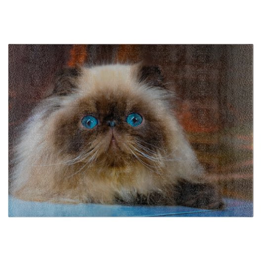Kutest Baby Animals | Himalayan Cat Snijplank (Voorkant)