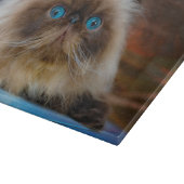 Kutest Baby Animals | Himalayan Cat Snijplank (Hoek)