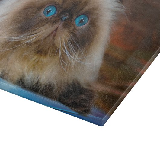 Kutest Baby Animals | Himalayan Cat Snijplank (Hoek)