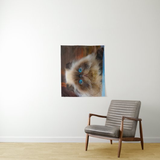 Kutest Baby Animals | Himalayan Cat Wandkleed (In situ)