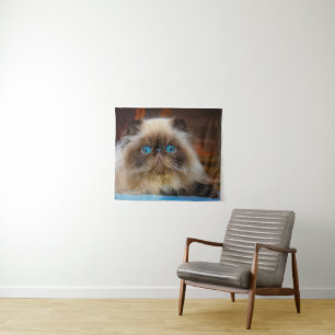 Kutest Baby Animals   Himalayan Cat Wandkleed