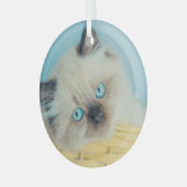 Kutest Baby Animals | Himalayan Seal Point Cat Glas Ornament (Voorkant links)