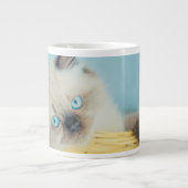 Kutest Baby Animals | Himalayan Seal Point Cat Grote Koffiekop (Voorkant)