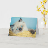 Kutest Baby Animals | Himalayan Seal Point Cat Kaart (Gele Bloem)